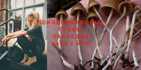 2c-b Богородицк