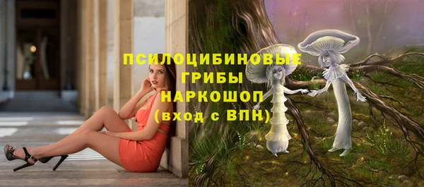 крисы Богданович