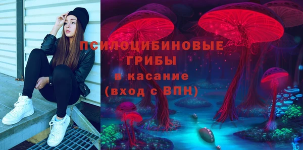 дмт Богородск