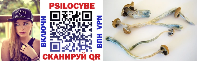 Псилоцибиновые грибы MAGIC MUSHROOMS купить наркоту площадка состав Нурлат